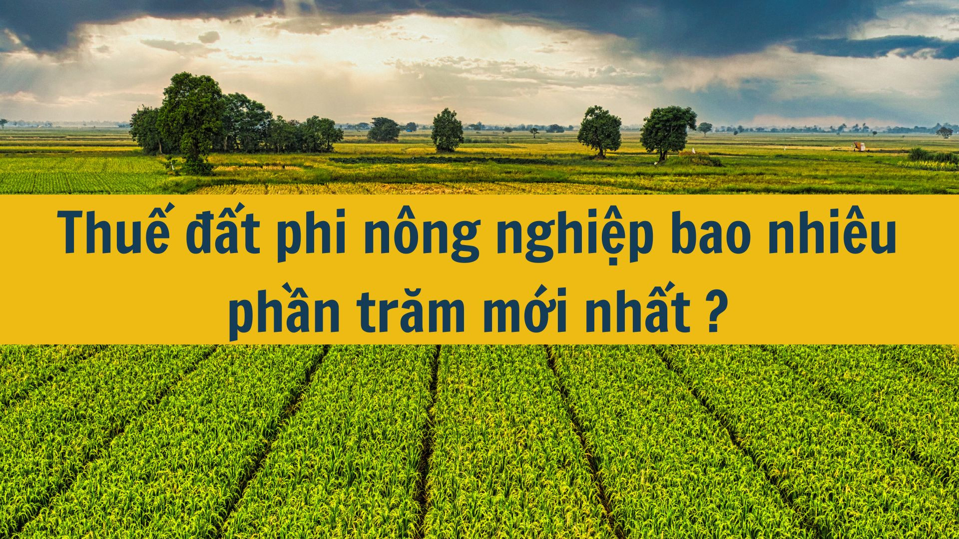 Thuế đất phi nông nghiệp bao nhiêu phần trăm mới nhất 2025?