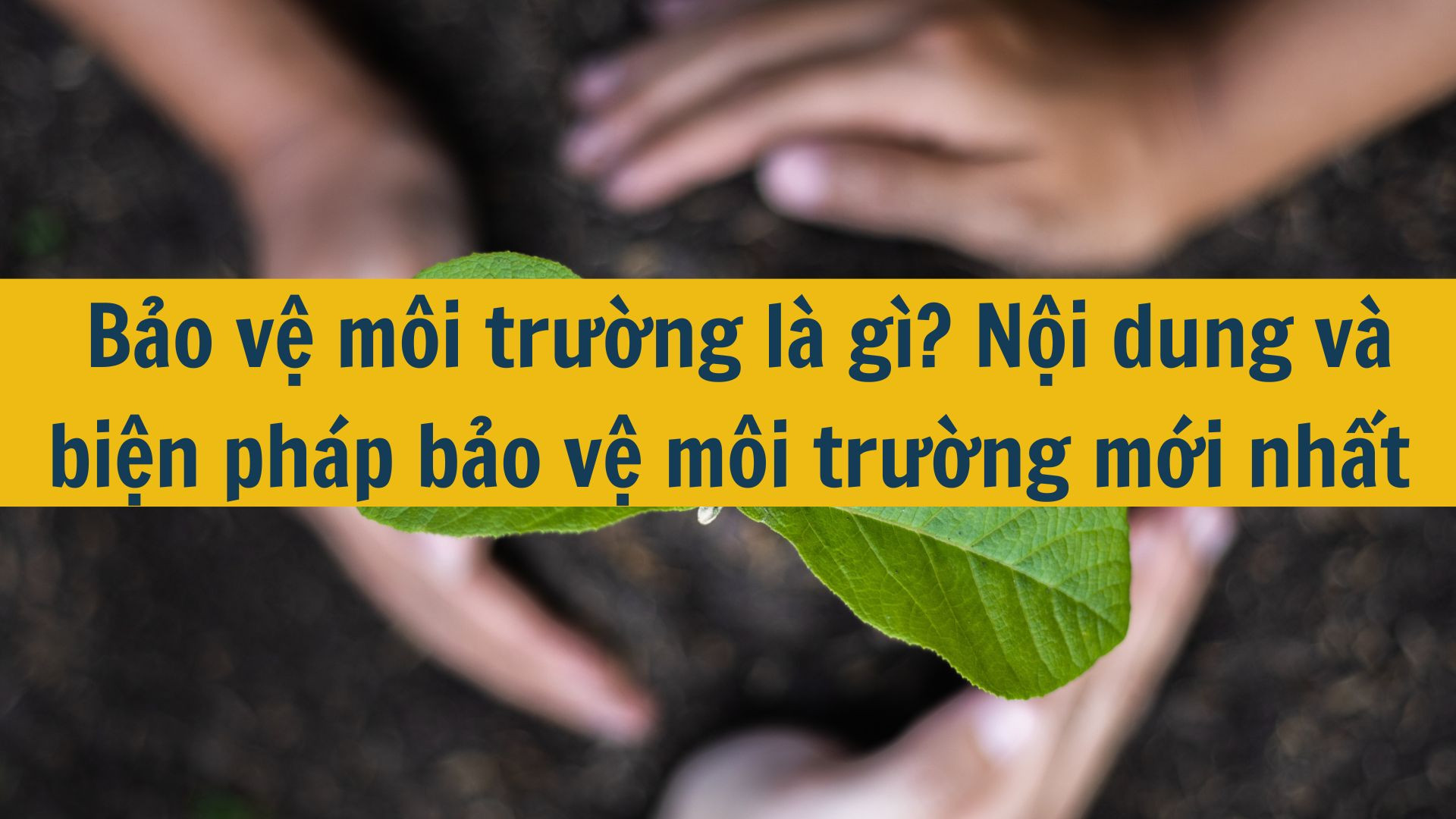 Bảo vệ môi trường là gì? Nội dung và biện pháp bảo vệ môi trường mới nhất 2025?