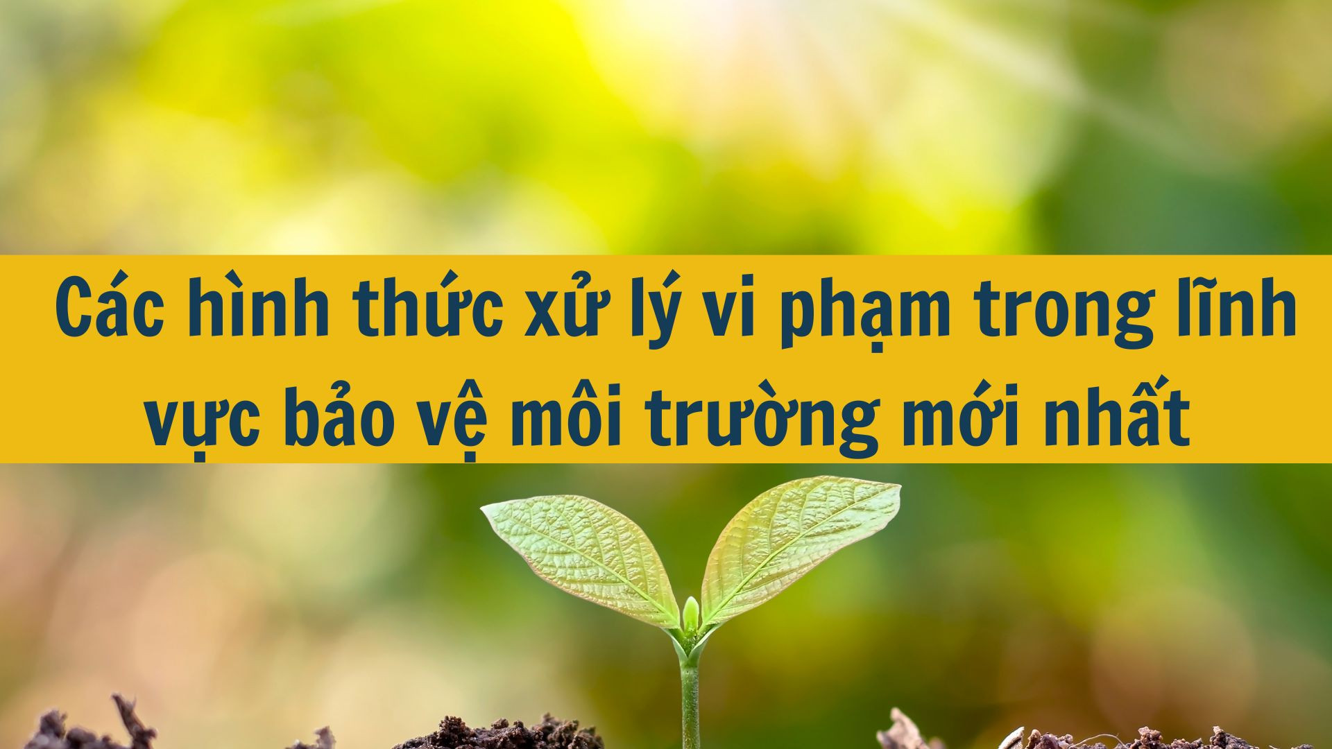 Các hình thức xử lý vi phạm trong lĩnh vực bảo vệ môi trường mới nhất 2025?