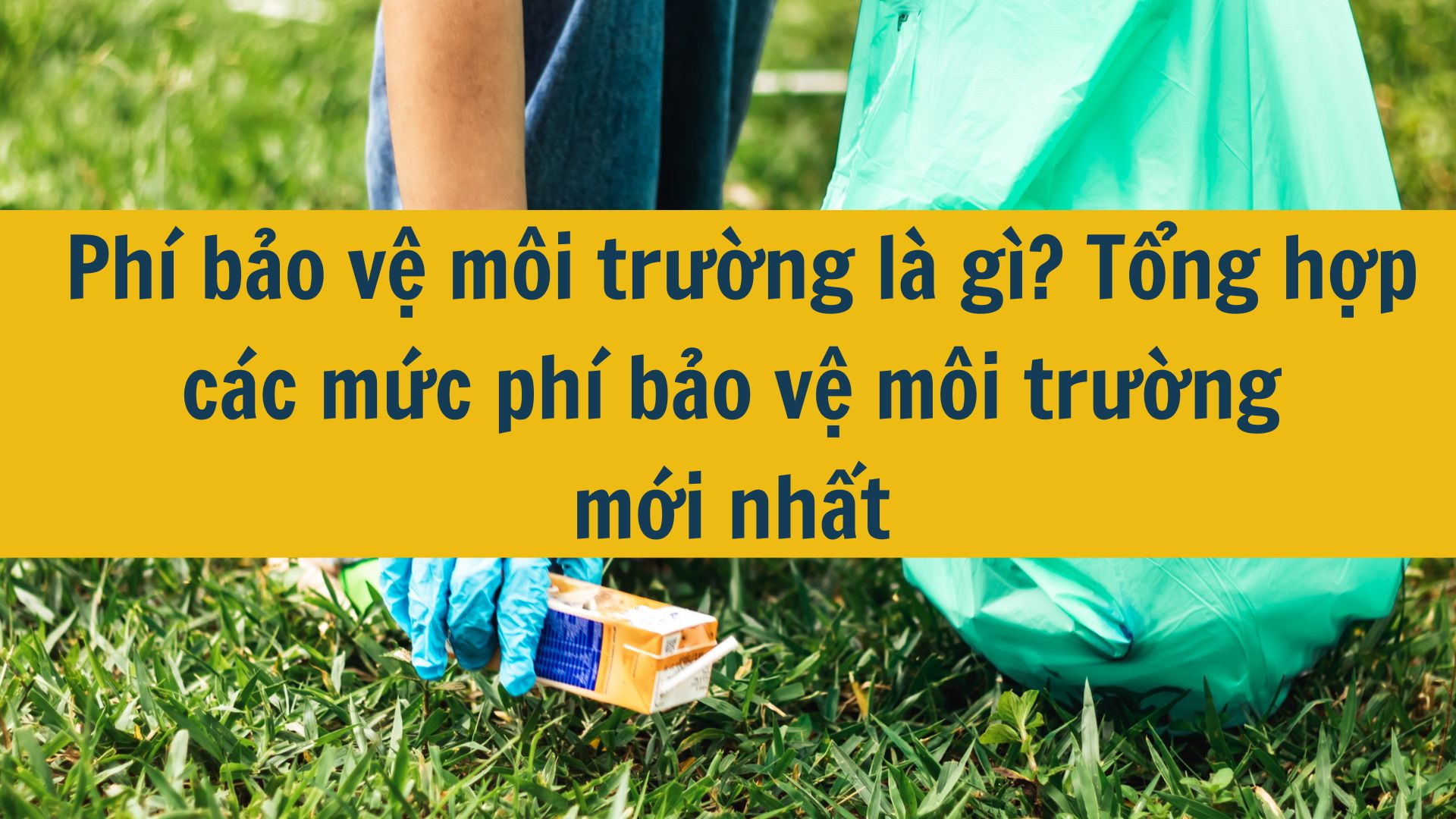 Phí bảo vệ môi trường là gì? Tổng hợp các mức phí bảo vệ môi trường mới nhất 2025