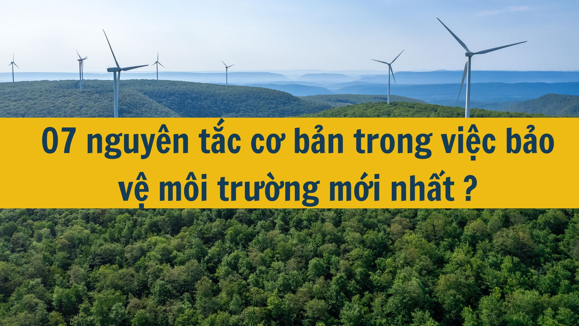 07 nguyên tắc cơ bản trong việc bảo vệ môi trường mới nhất 2025?