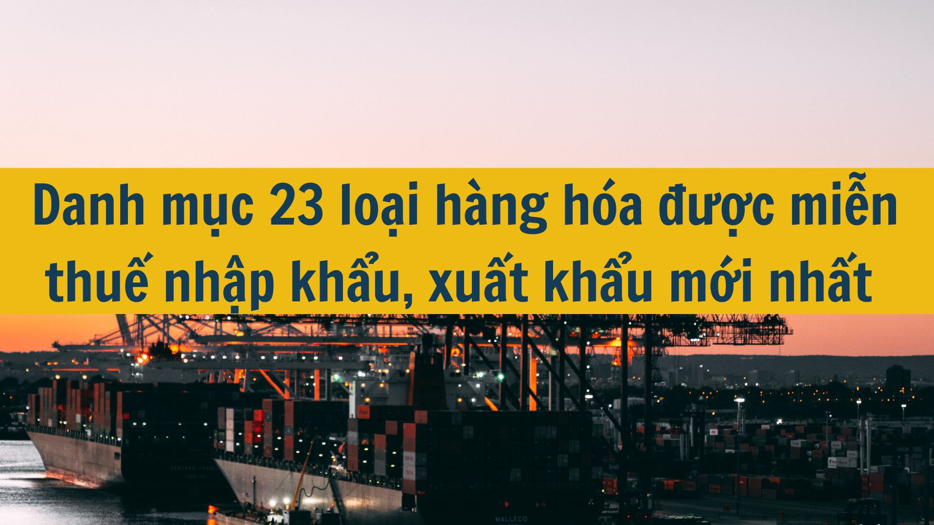 Danh mục 23 loại hàng hóa được miễn thuế nhập khẩu, xuất khẩu mới nhất 2025