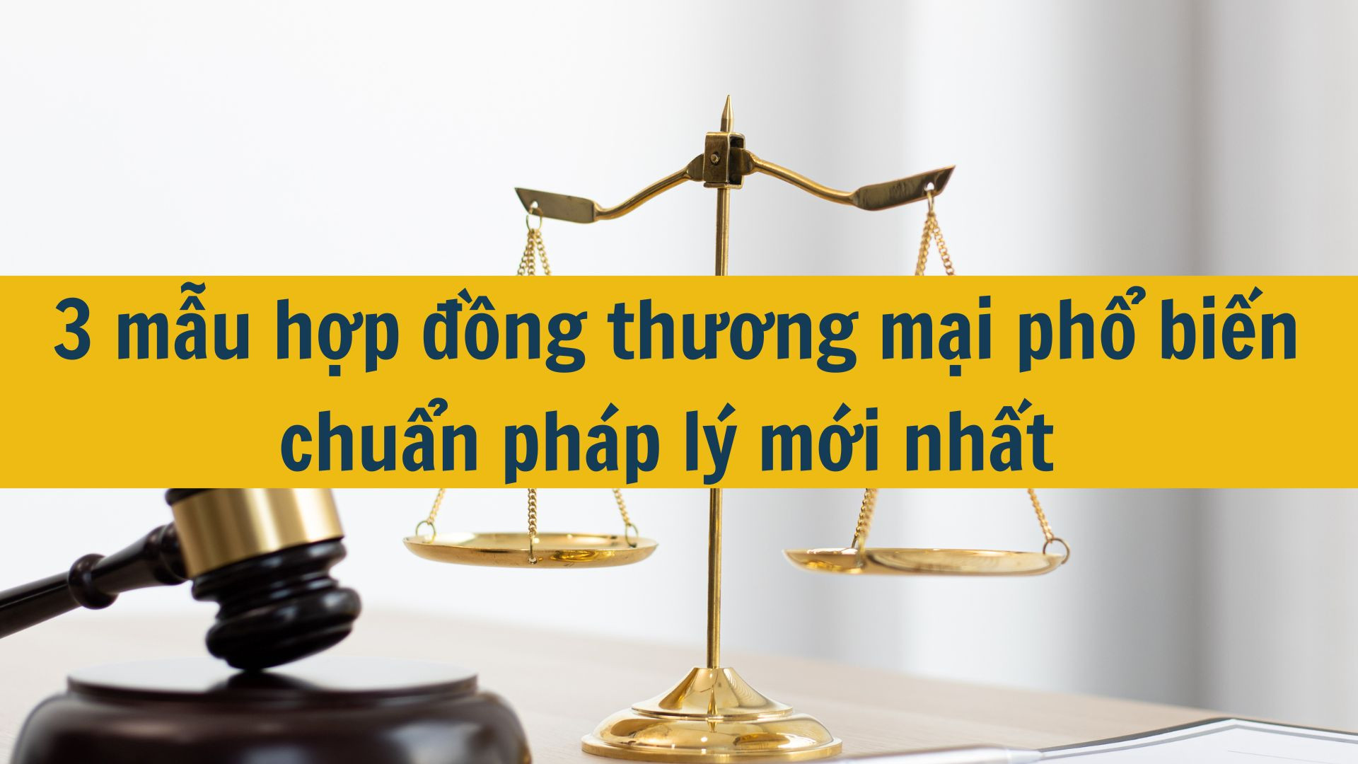 3 mẫu hợp đồng thương mại phổ biến chuẩn pháp lý mới nhất 2025