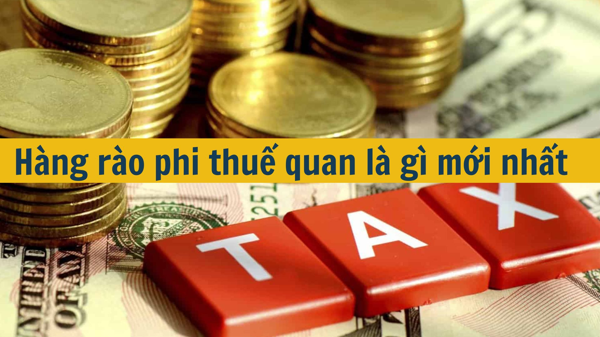 Hàng rào phi thuế quan là gì mới nhất 2025?