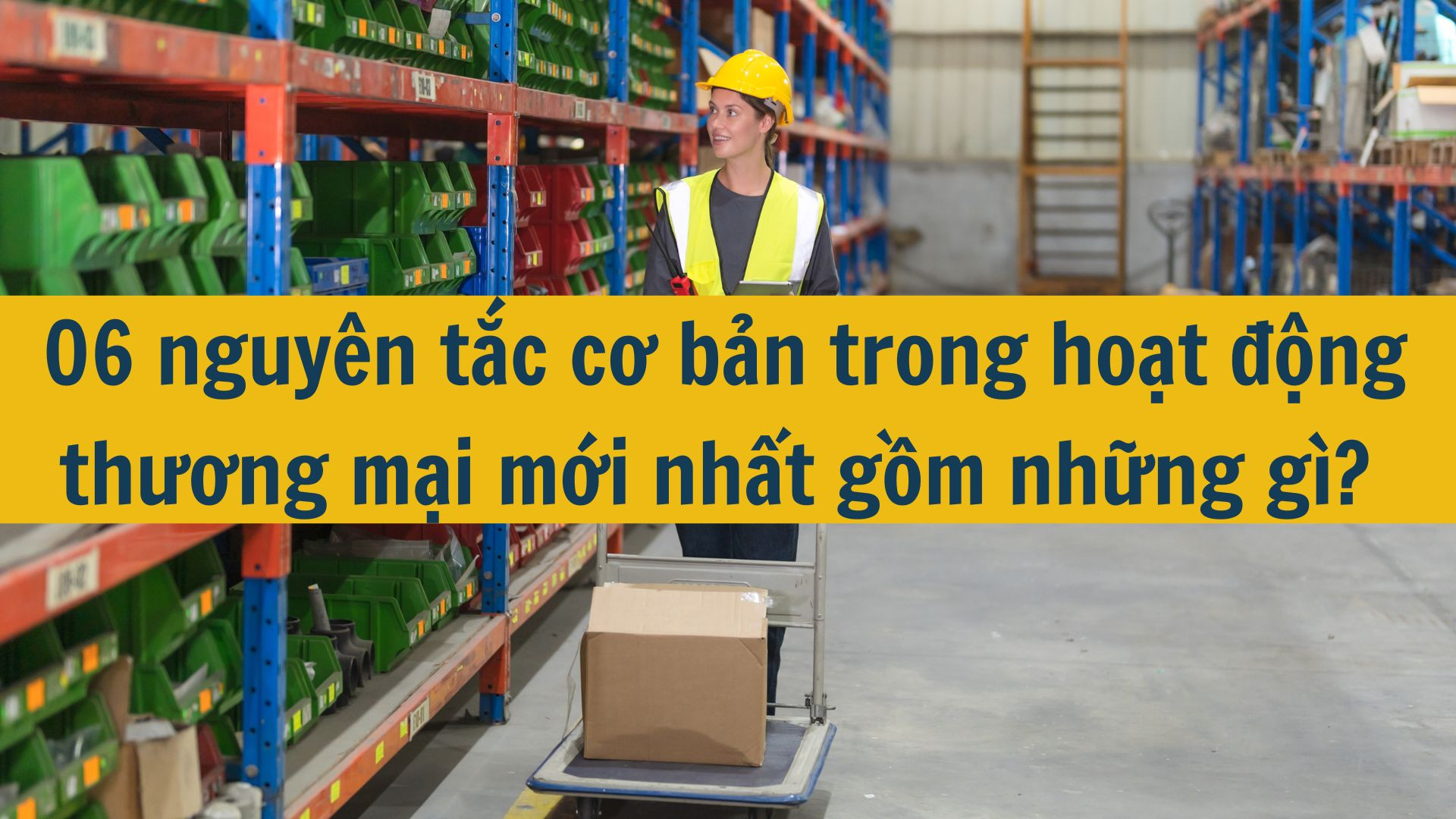 06 nguyên tắc cơ bản trong hoạt động thương mại mới nhất 2025 gồm những gì?