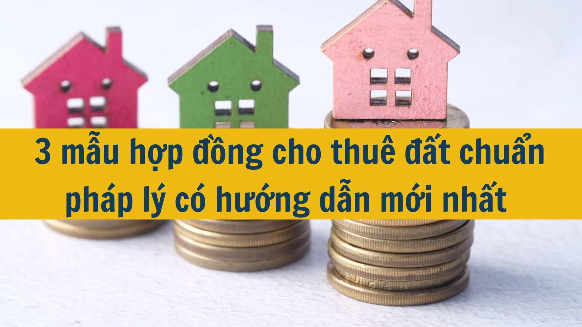 3 mẫu hợp đồng cho thuê đất chuẩn pháp lý có hướng dẫn mới nhất 2025