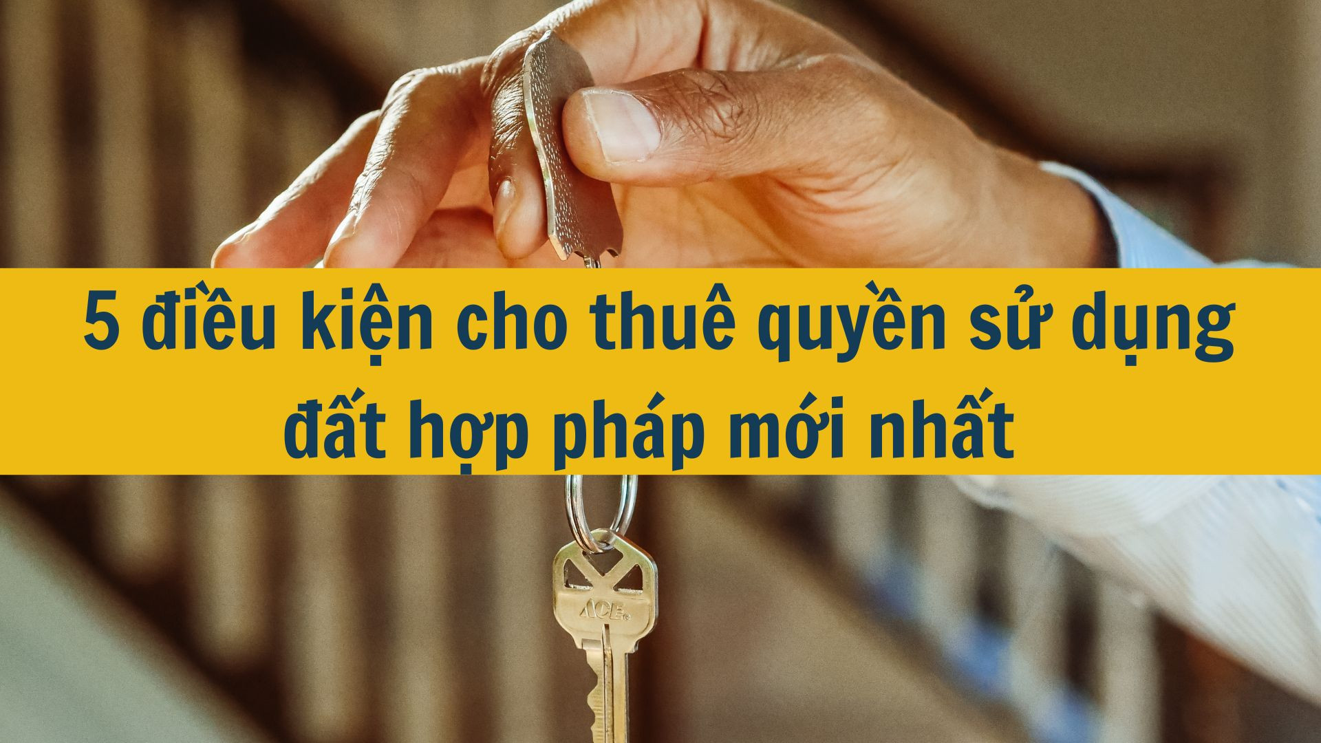 5 điều kiện cho thuê quyền sử dụng đất hợp pháp mới nhất 2025