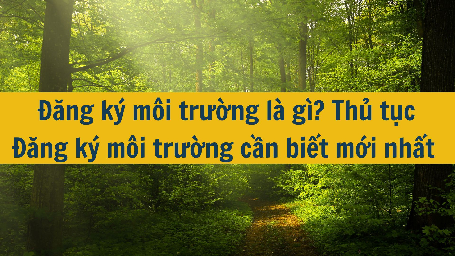 Đăng ký môi trường là gì? Thủ tục Đăng ký môi trường cần biết mới nhất 2025