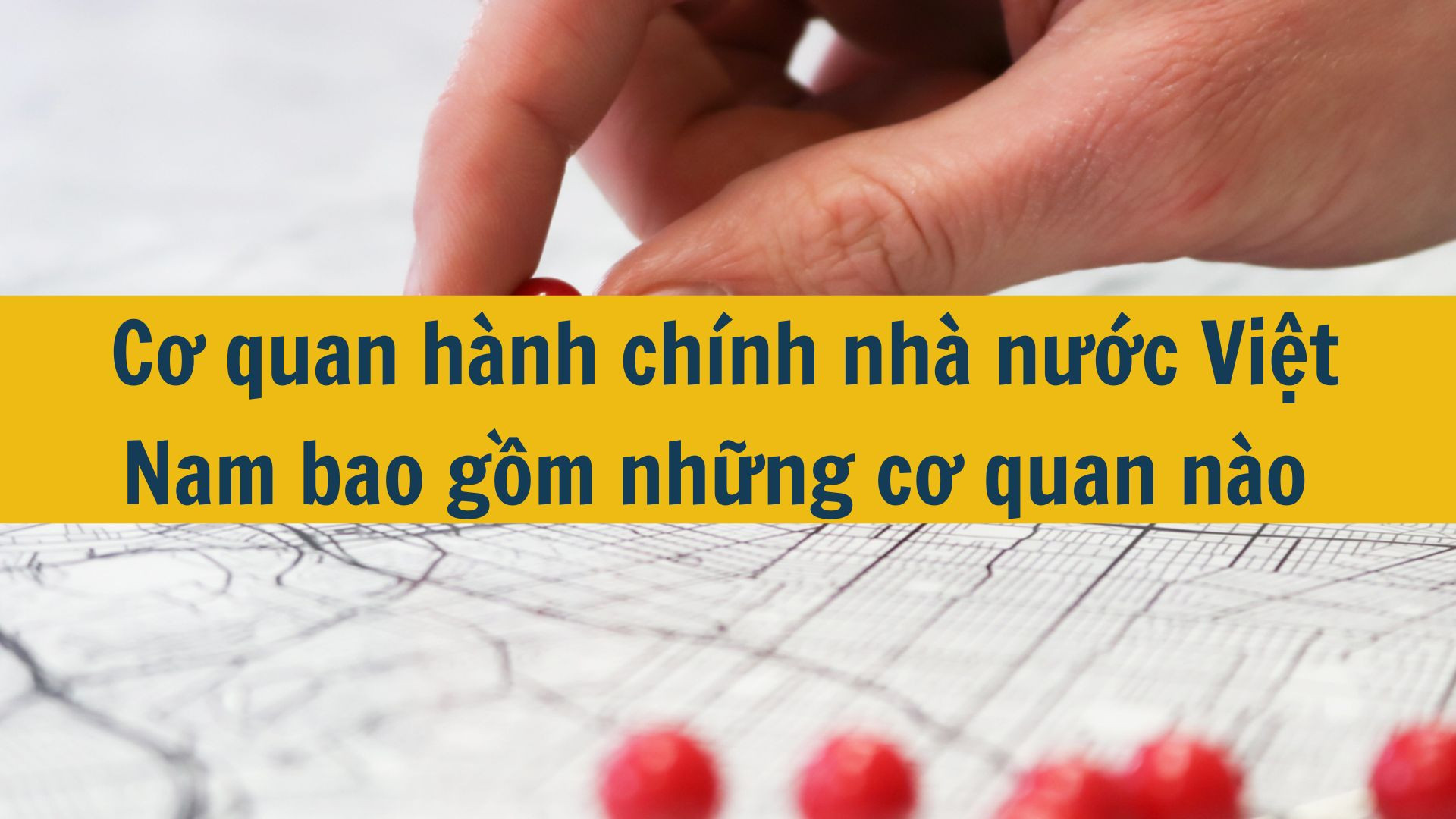 Cơ quan hành chính nhà nước Việt Nam bao gồm những cơ quan nào