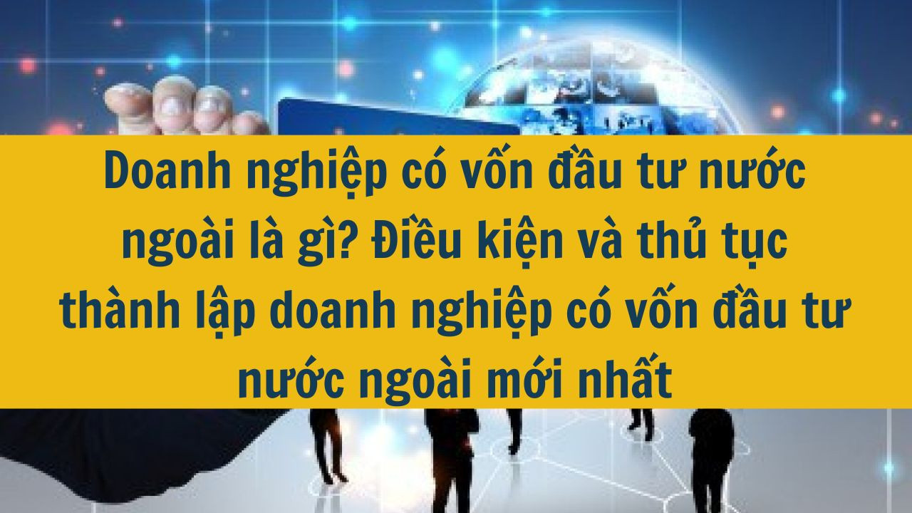 Doanh nghiệp có vốn đầu tư nước ngoài là gì? Điều kiện và thủ tục thành lập doanh nghiệp có vốn đầu tư nước ngoài mới nhất 2025