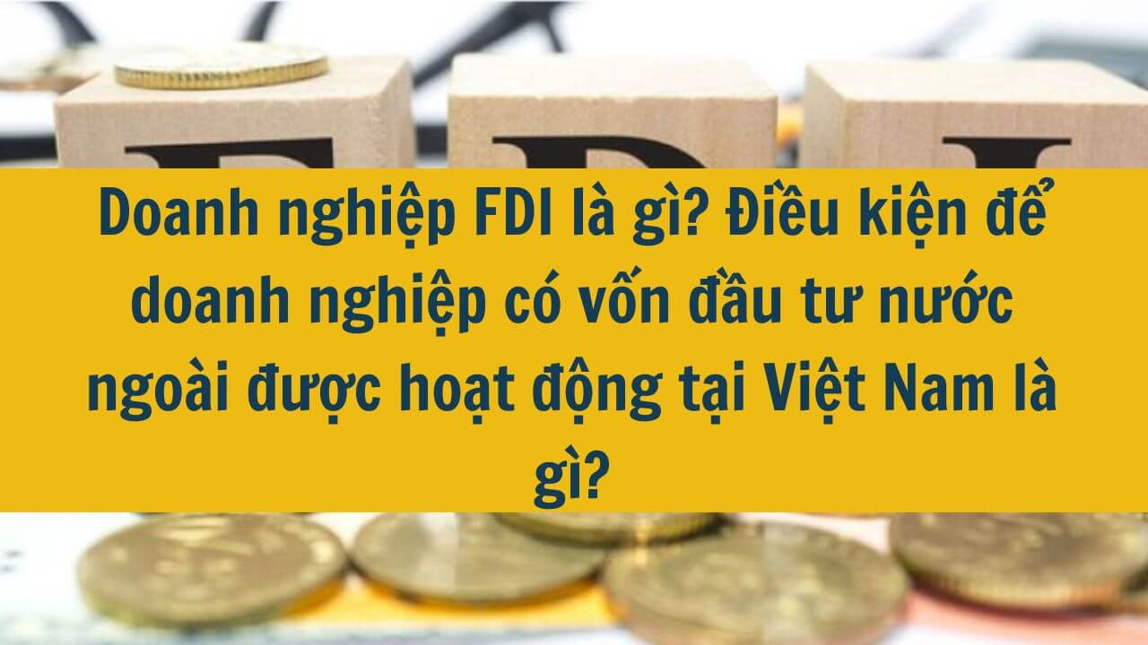 Doanh nghiệp FDI là gì? Điều kiện để doanh nghiệp có vốn đầu tư nước ngoài được hoạt động tại Việt Nam là gì?