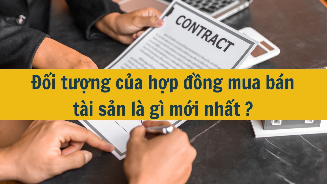 Đối tượng của hợp đồng mua bán tài sản là gì mới nhất 2025?