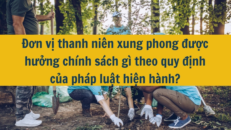 Đơn vị thanh niên xung phong được hưởng chính sách gì theo quy định của pháp luật hiện hành?