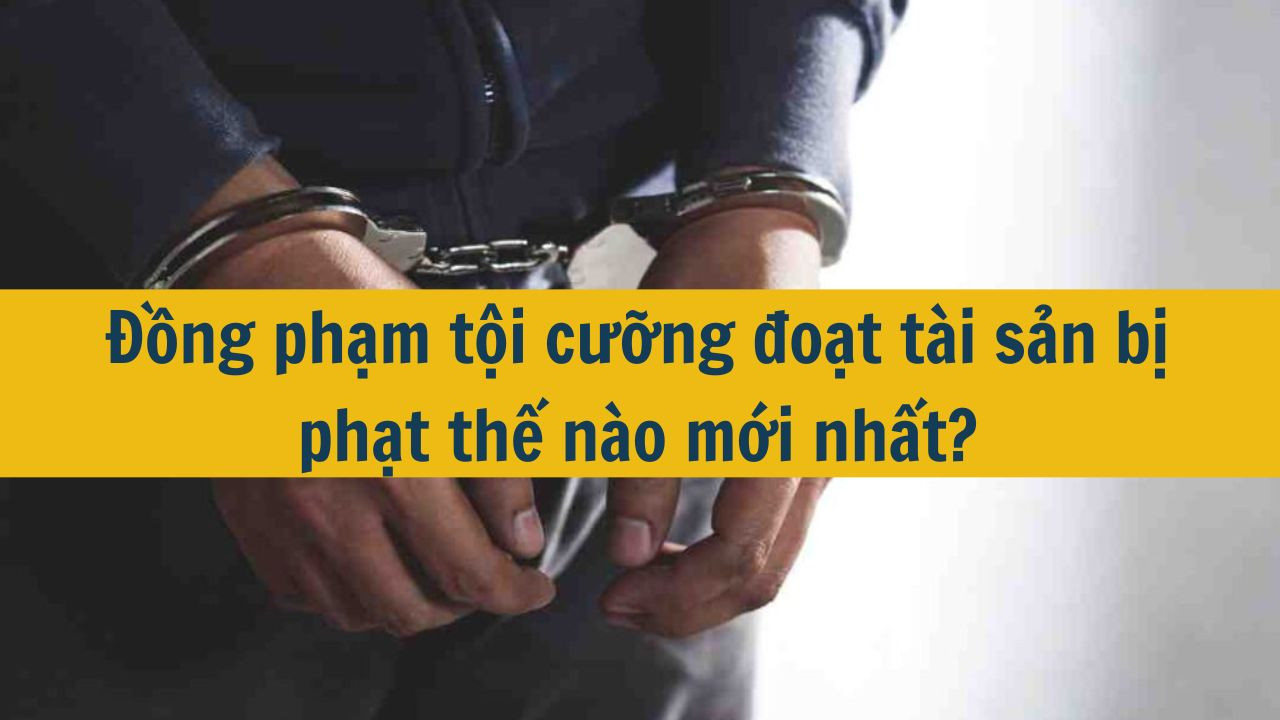 Đồng phạm tội cưỡng đoạt tài sản bị phạt thế nào mới nhất 2025?