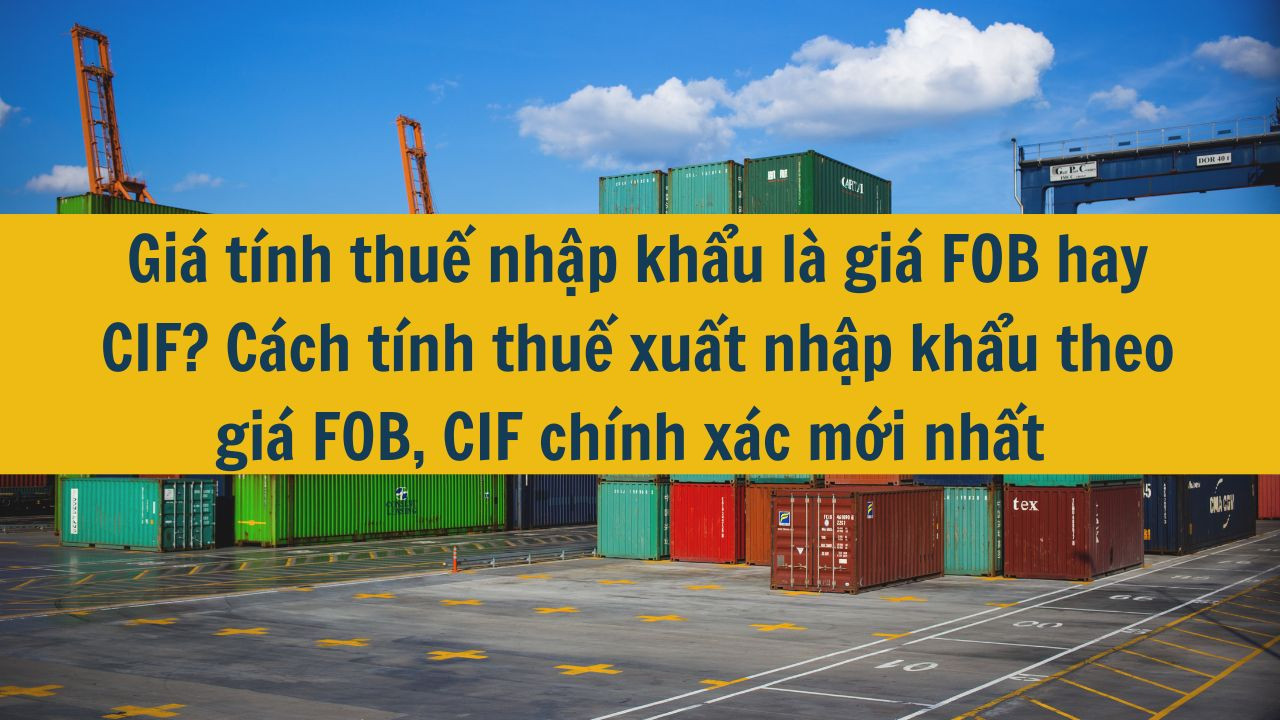 Giá tính thuế nhập khẩu là giá FOB hay CIF? Cách tính thuế xuất nhập khẩu theo giá FOB, CIF chính xác mới nhất 2025