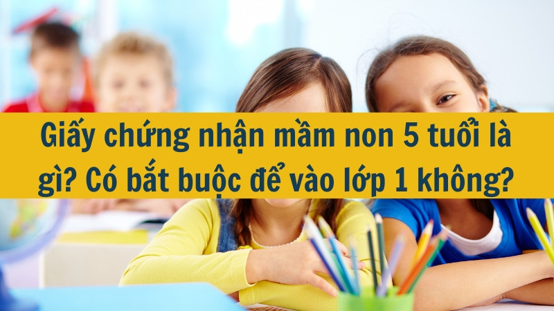 Giấy chứng nhận mầm non 5 tuổi là gì? Có bắt buộc để vào lớp 1 không?