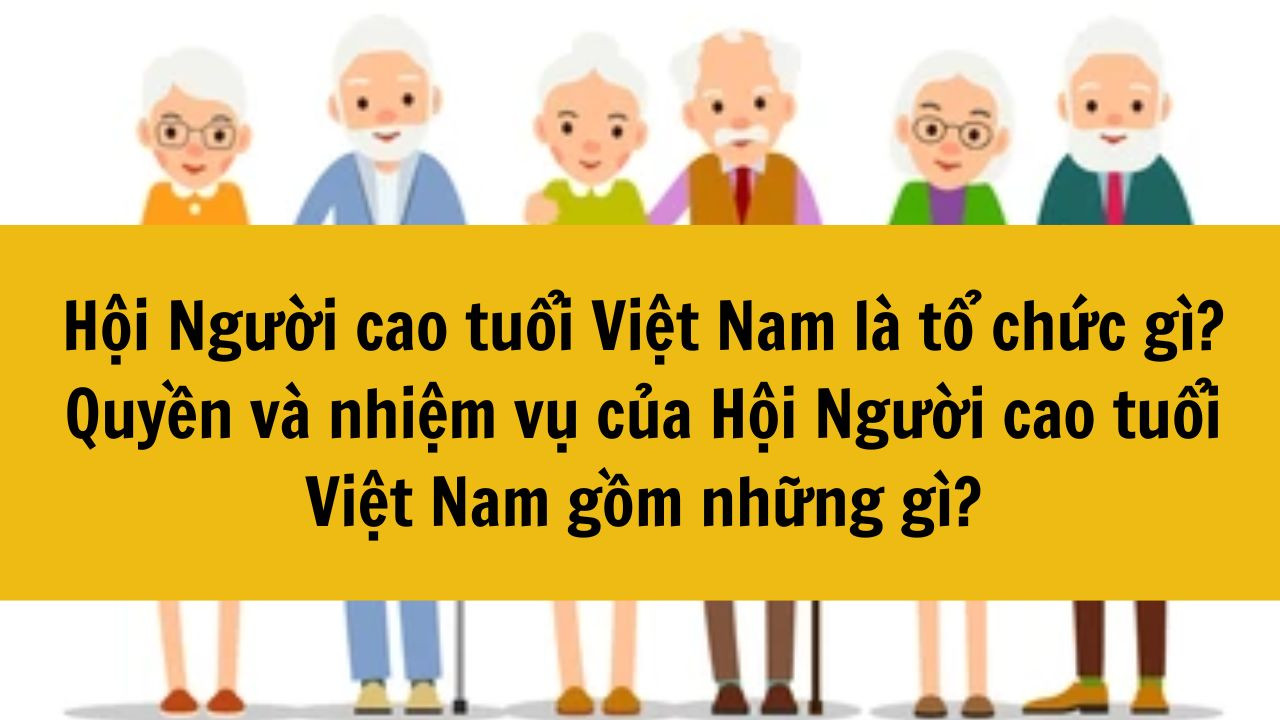 Hội Người cao tuổi Việt Nam là tổ chức gì? Quyền và nhiệm vụ của Hội Người cao tuổi Việt Nam gồm những gì?