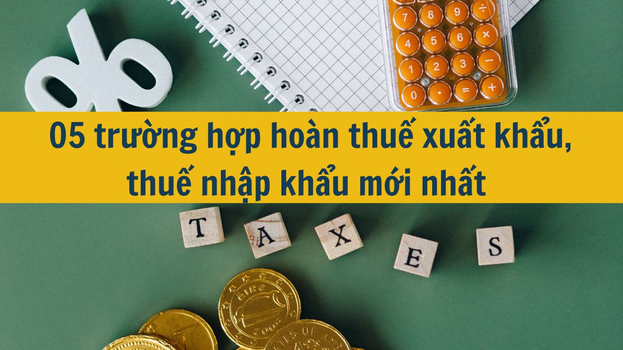 05 trường hợp hoàn thuế xuất khẩu, thuế nhập khẩu mới nhất 2025