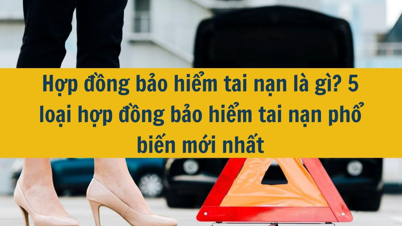 Hợp đồng bảo hiểm tai nạn là gì? 5 loại hợp đồng bảo hiểm tai nạn phổ biến mới nhất 2025