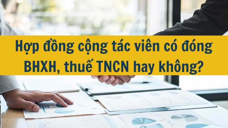 Hợp đồng cộng tác viên có đóng BHXH, thuế TNCN hay không?