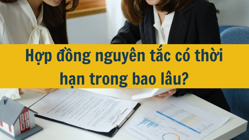 Hợp đồng nguyên tắc có thời hạn trong bao lâu?