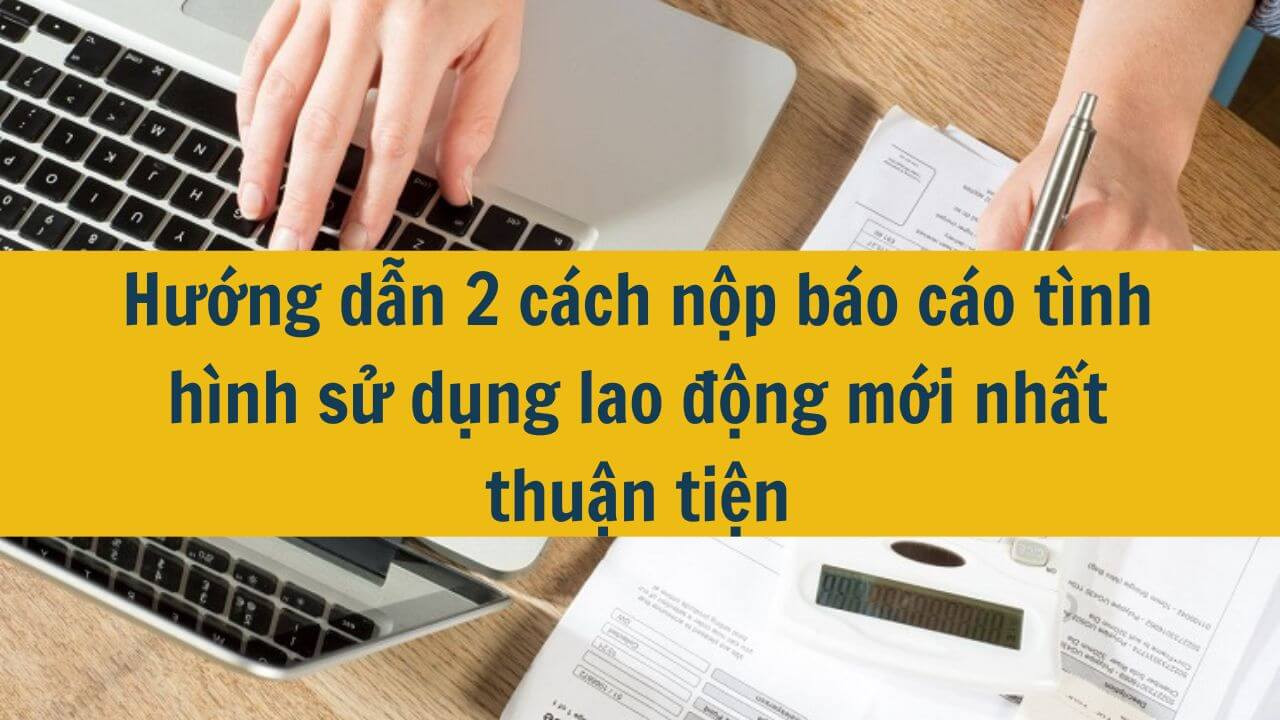 Hướng dẫn 2 cách nộp báo cáo tình hình sử dụng lao động mới nhất 2025 thuận tiện
