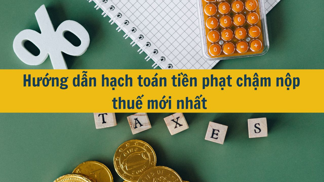 Hướng dẫn hạch toán tiền phạt chậm nộp thuế mới nhất 2025
