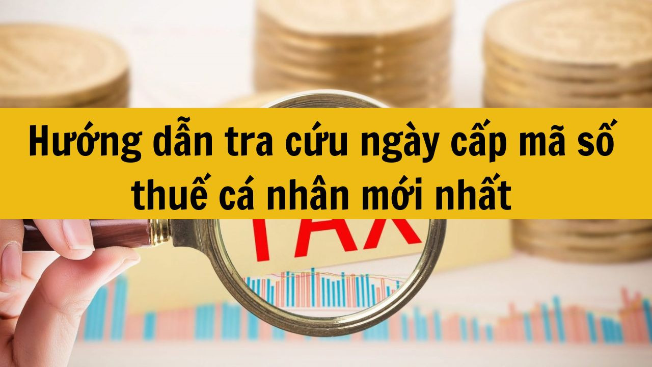 Hướng dẫn tra cứu ngày cấp mã số thuế cá nhân mới nhất 2025