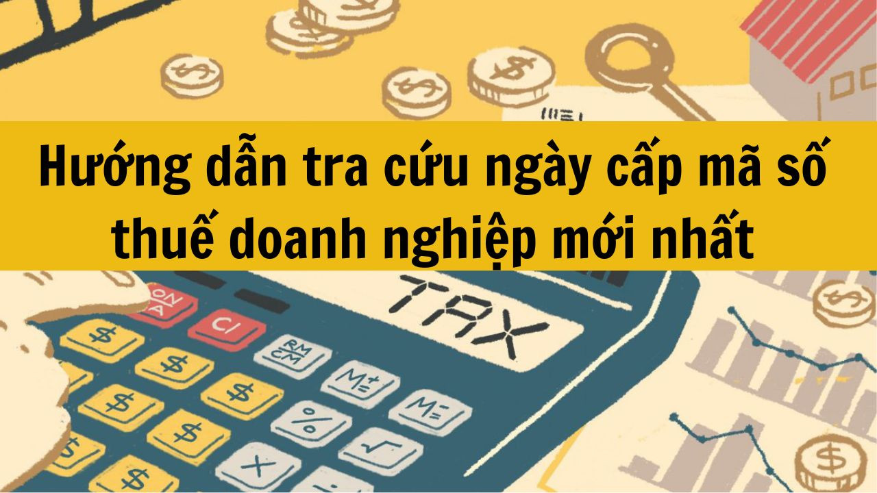 Hướng dẫn tra cứu ngày cấp mã số thuế doanh nghiệp mới nhất 2025