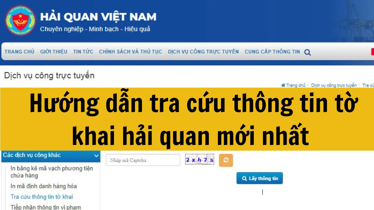 Hướng dẫn tra cứu thông tin tờ khai hải quan mới nhất 2025 nhanh chóng thuận tiện