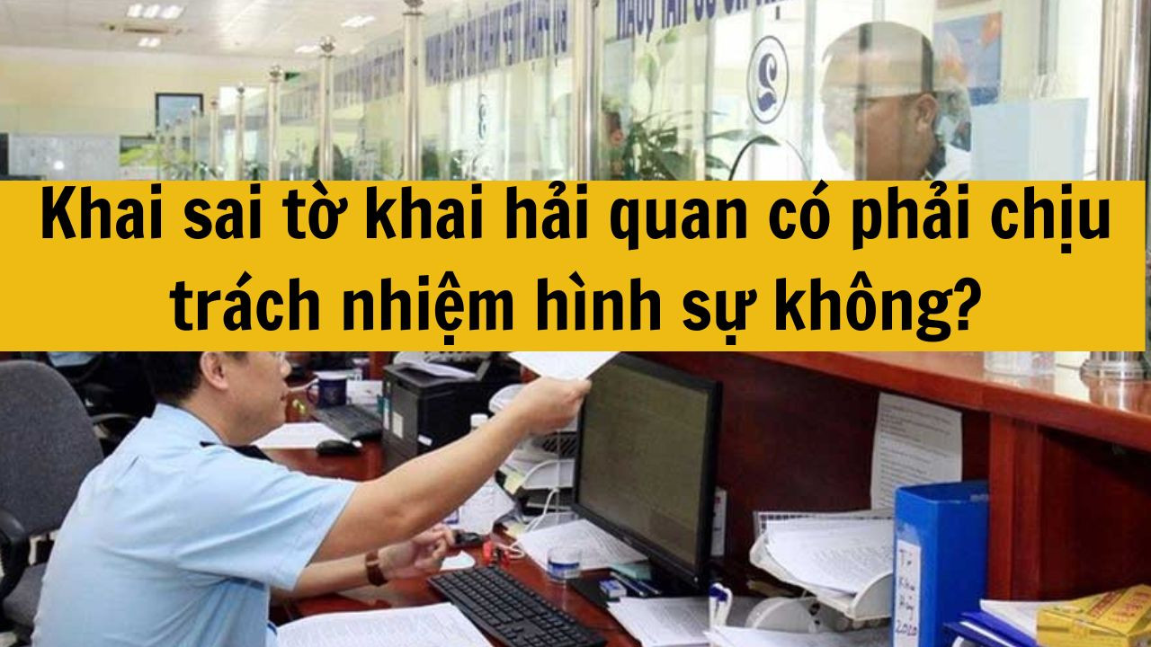 Khai sai tờ khai hải quan có phải chịu trách nhiệm hình sự không?