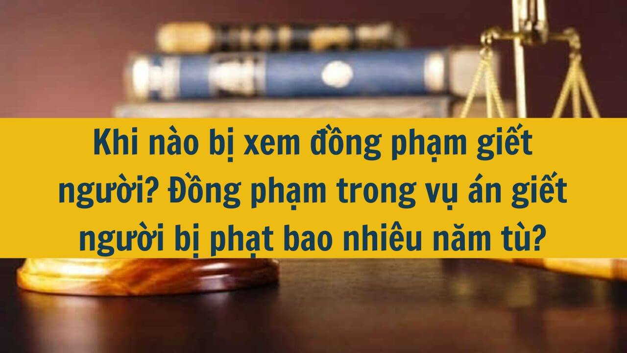 Khi nào bị xem đồng phạm giết người? Đồng phạm trong vụ án giết người bị phạt bao nhiêu năm tù?