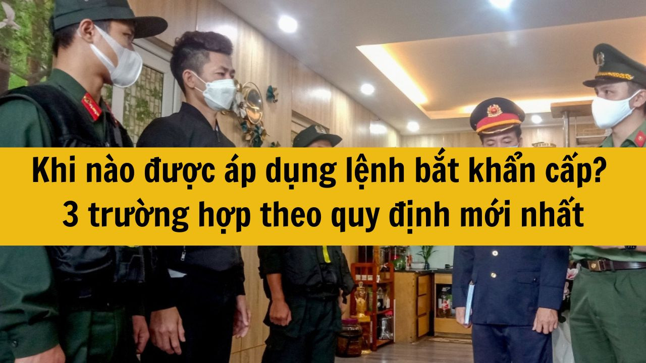Khi nào được áp dụng lệnh bắt khẩn cấp? 3 trường hợp theo quy định mới nhất 2025