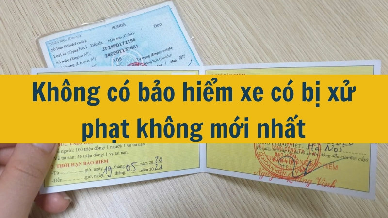 Không có bảo hiểm xe có bị xử phạt không mới nhất 2025?