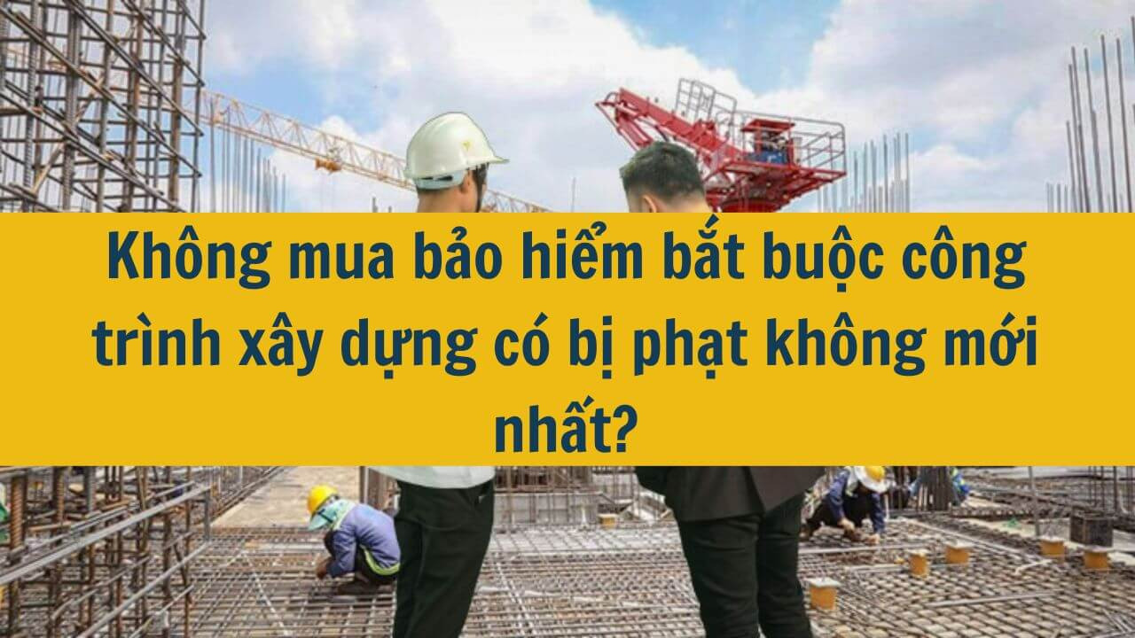 Không mua bảo hiểm bắt buộc công trình xây dựng có bị phạt không mới nhất 2025?