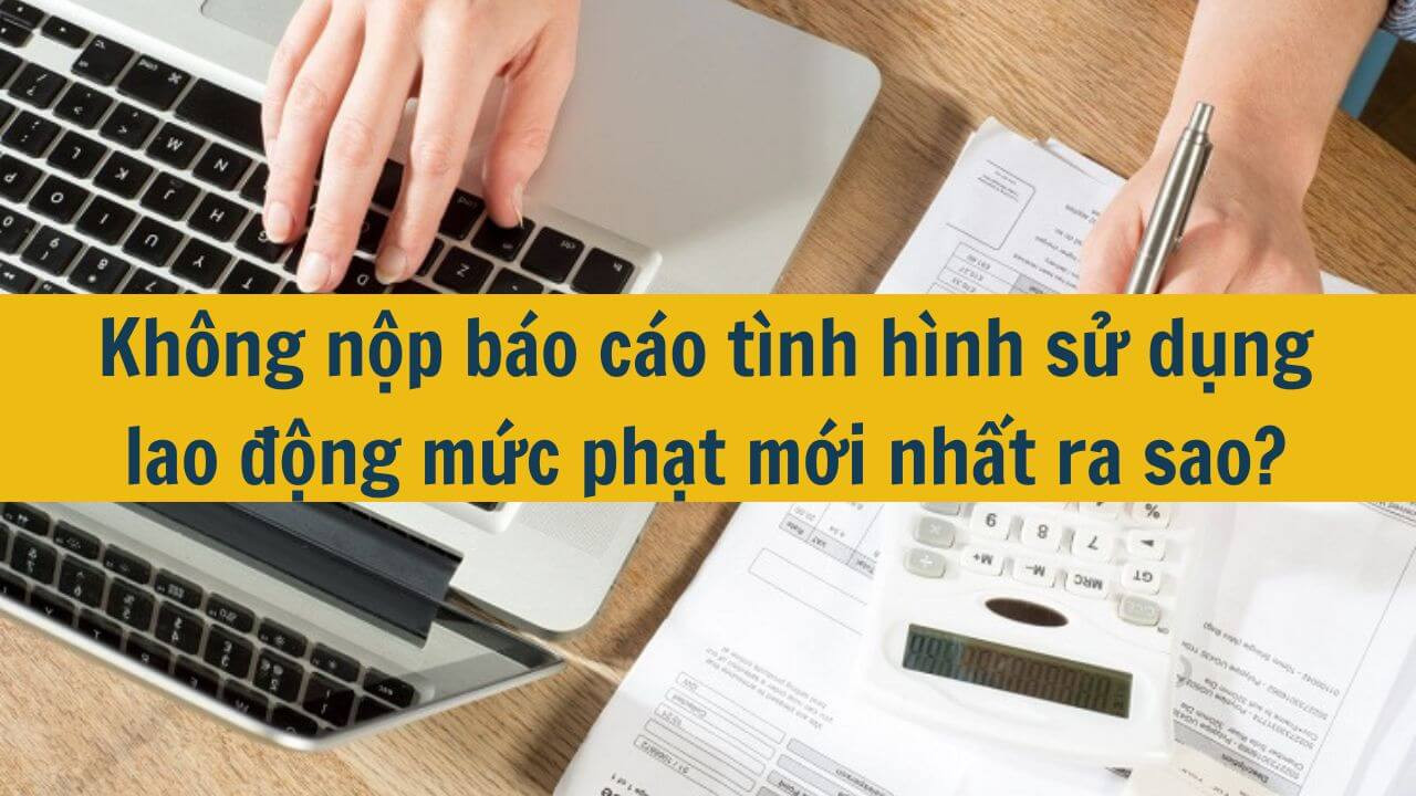 Không nộp báo cáo tình hình sử dụng lao động mức phạt mới nhất 2025 ra sao?