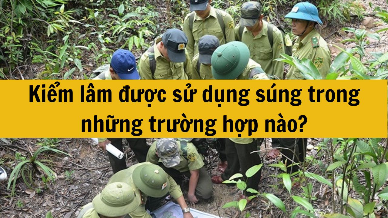 Kiểm lâm được sử dụng súng trong những trường hợp nào?
