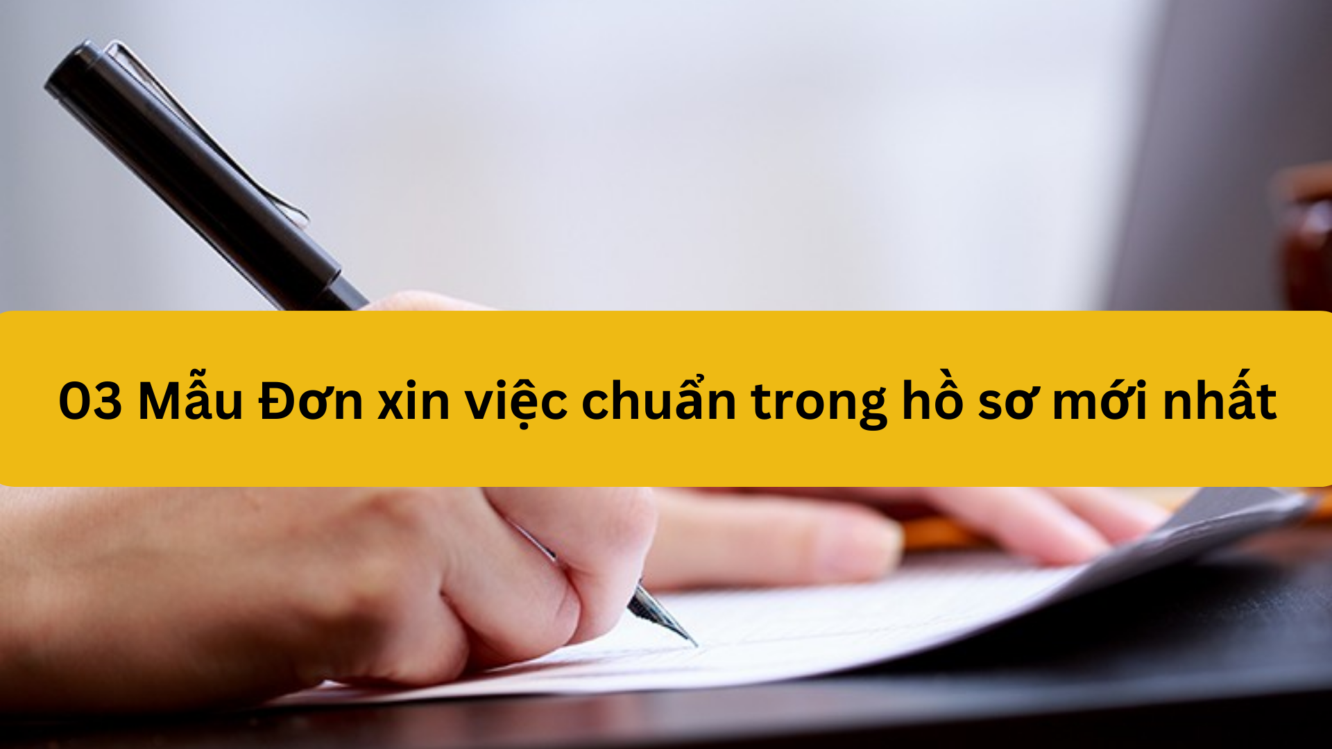 03 Mẫu Đơn xin việc chuẩn trong hồ sơ mới nhất 2025