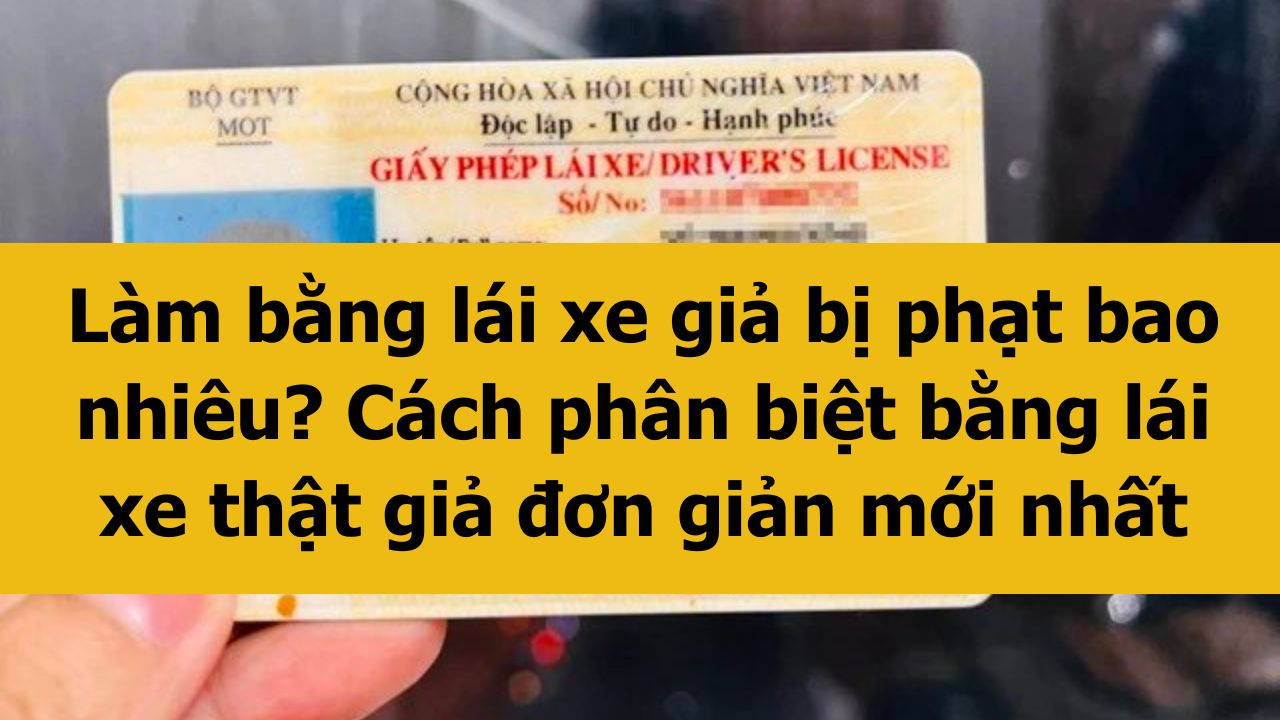 Làm bằng lái xe giả bị phạt bao nhiêu? Cách phân biệt bằng lái xe thật giả đơn giản mới nhất 2025