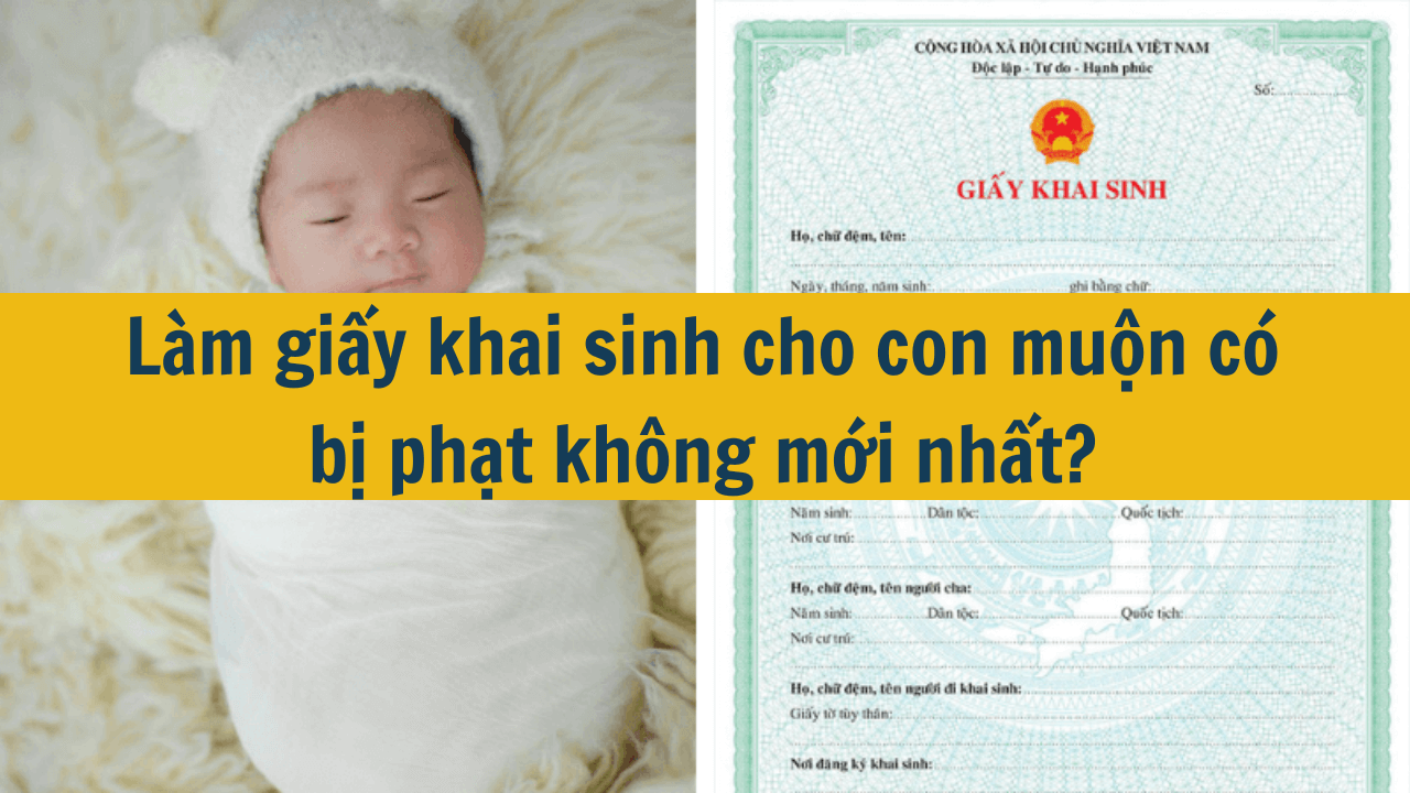 Làm giấy khai sinh cho con muộn có bị phạt không mới nhất 2025?