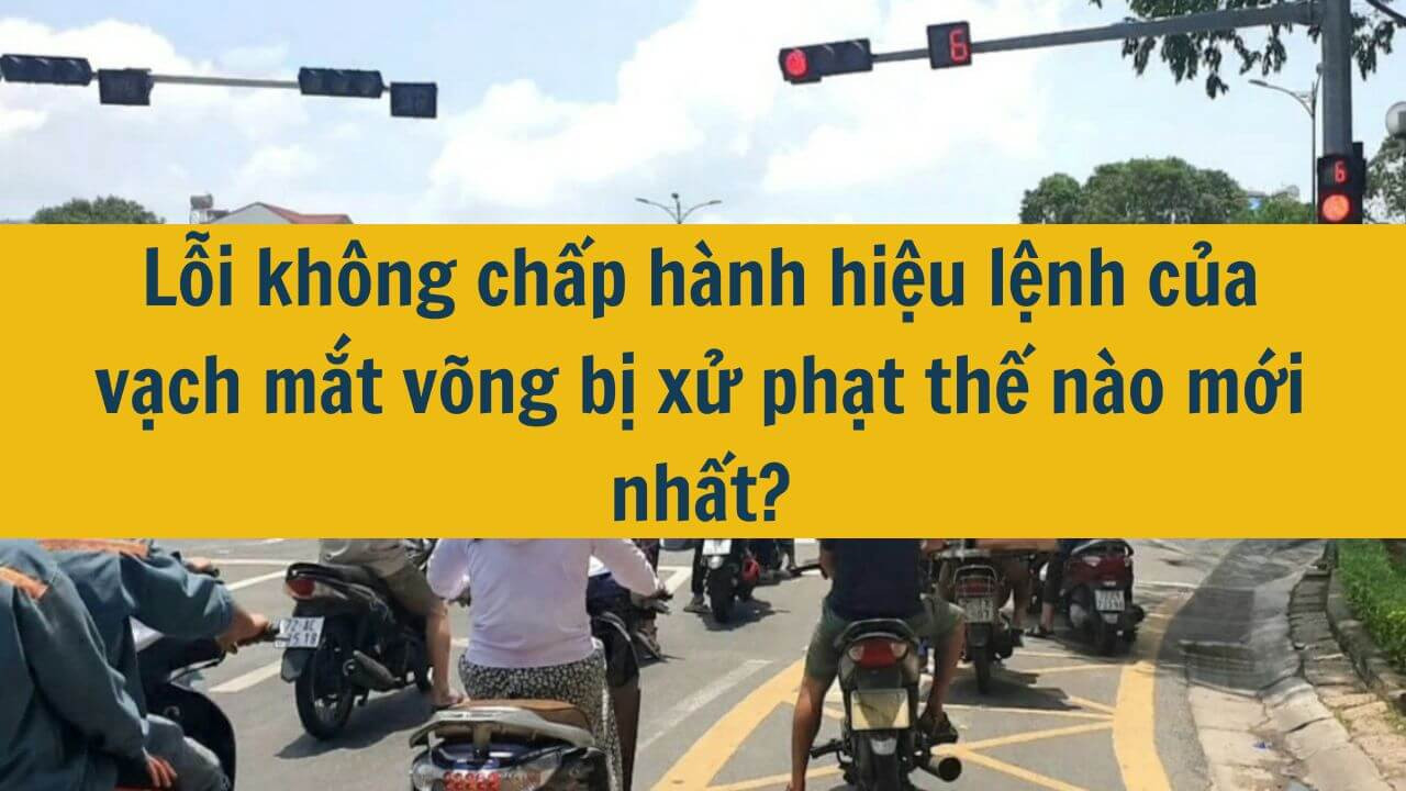 Lỗi không chấp hành hiệu lệnh của vạch mắt võng bị xử phạt thế nào mới nhất 2025?