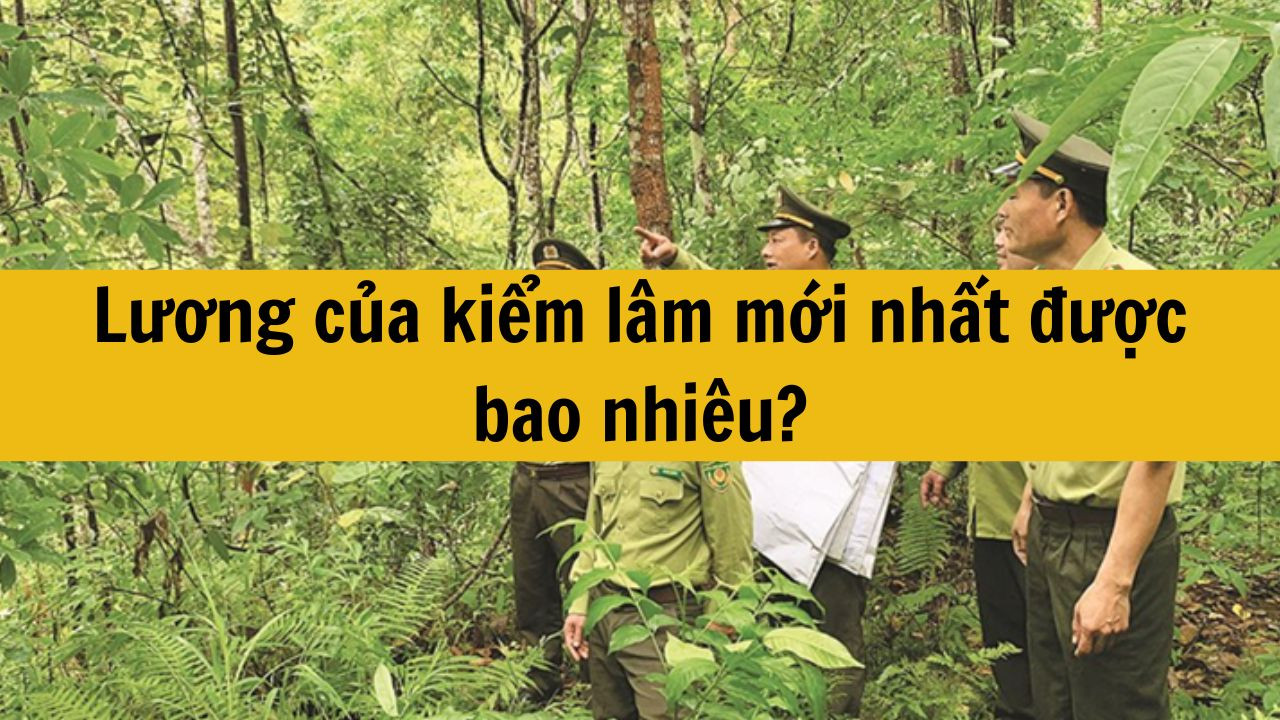 Lương của kiểm lâm mới nhất 2025 được bao nhiêu?