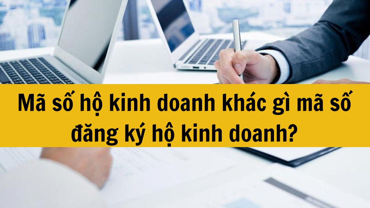 Mã số hộ kinh doanh khác gì mã số đăng ký hộ kinh doanh mới nhất 2025?