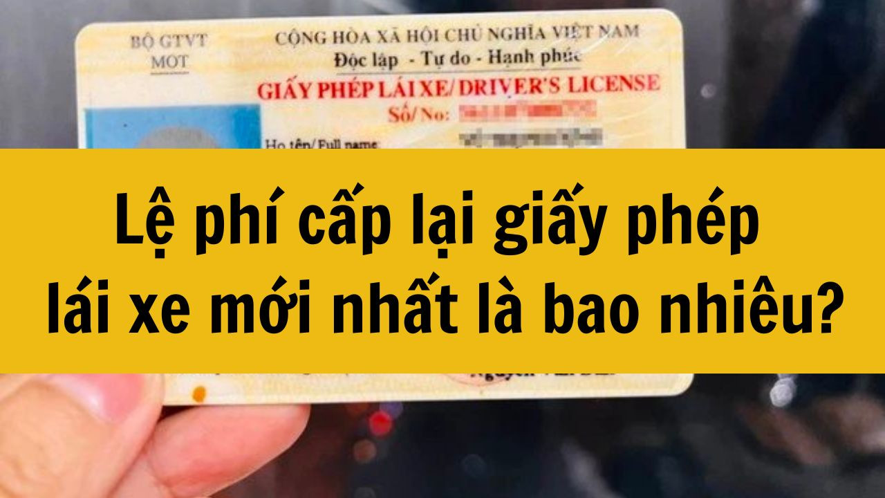 Lệ phí cấp lại giấy phép lái xe mới nhất 2025 là bao nhiêu tiền?