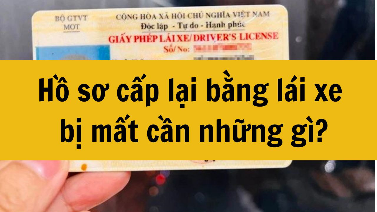 Hồ sơ cấp lại bằng lái xe bị mất cần những gì mới nhất 2025?