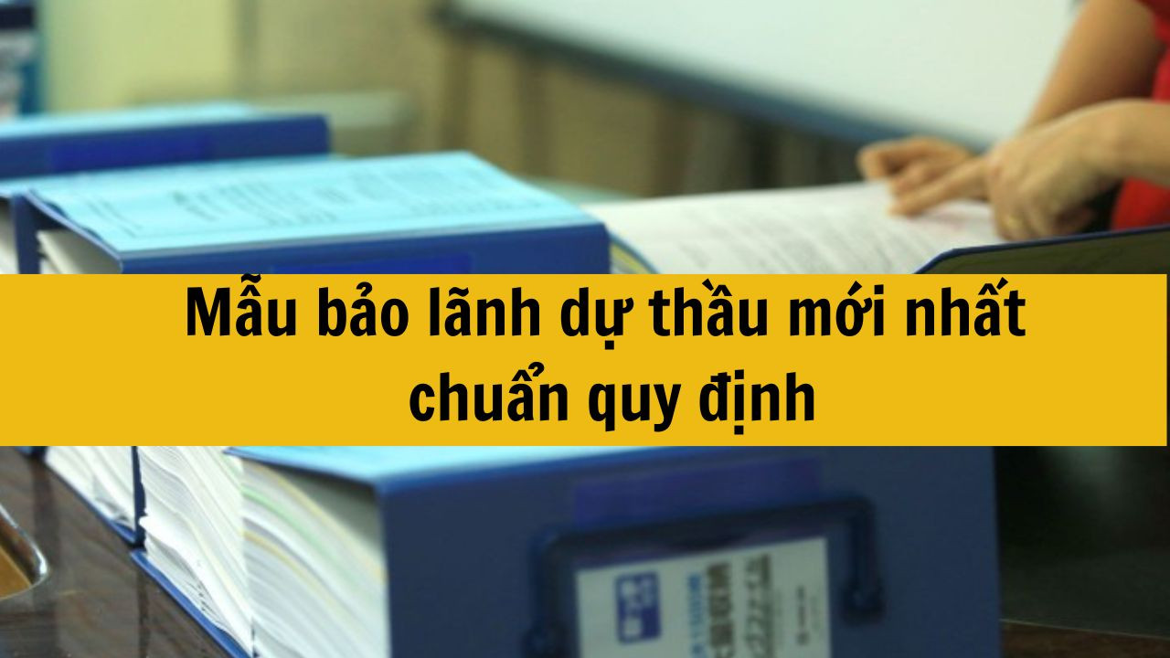Mẫu bảo lãnh dự thầu mới nhất 2025 chuẩn quy định
