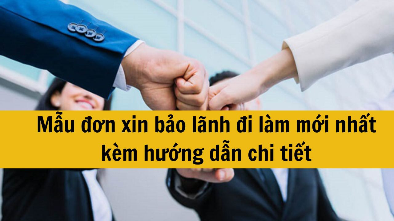 Mẫu đơn xin bảo lãnh đi làm mới nhất 2025 kèm hướng dẫn chi tiết