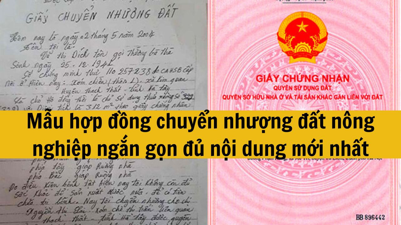 Mẫu hợp đồng chuyển nhượng đất nông nghiệp ngắn gọn đủ nội dung mới nhất 2025