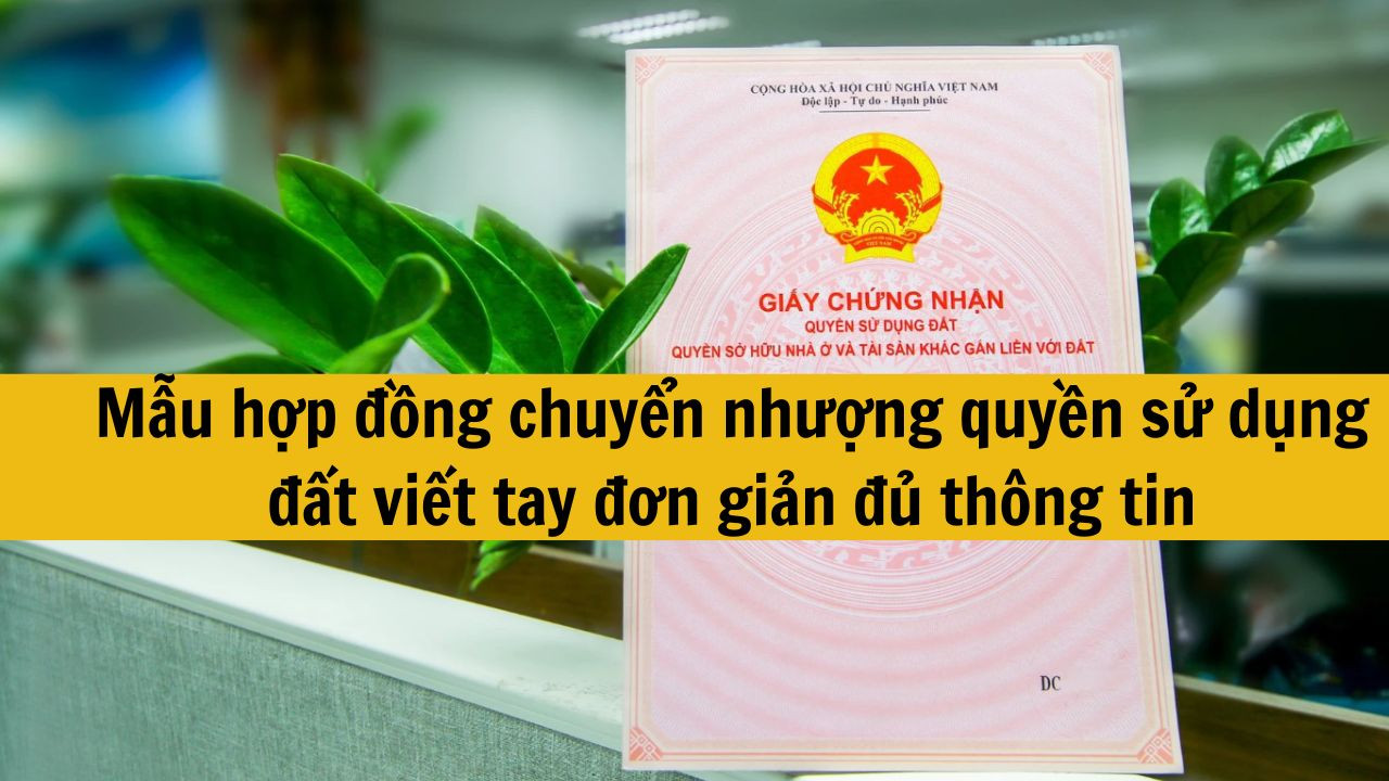 Mẫu hợp đồng chuyển nhượng quyền sử dụng đất viết tay mới nhất 2025 đơn giản đủ thông tin