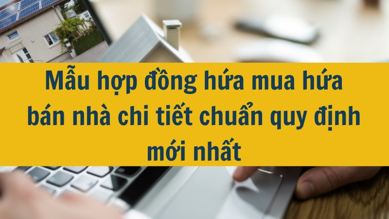 Mẫu hợp đồng hứa mua hứa bán nhà chi tiết chuẩn quy định mới nhất 2025